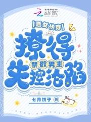 二次元的完美生物txt