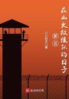 穿越到古代养家txt