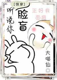 免费的api接口网站