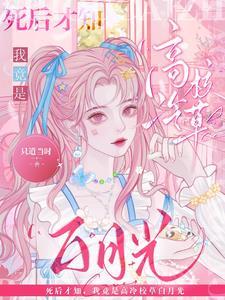 我成了万人迷文里的坏女配番外