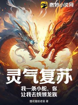 唐朝最佳闲王 末日游侠