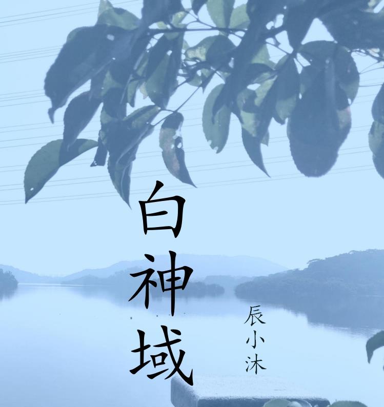 穿成霸道总裁的白月光 蔚竹免费阅读