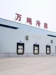 求魔免费阅读全文