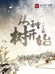 大雪满弓刀剧本测评