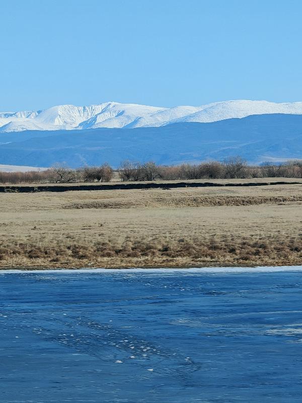网红的妖怪淘宝店资源