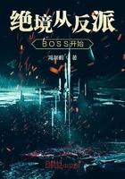 次元位面主系统打臀部