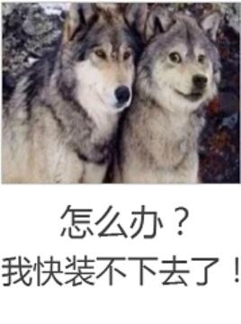 幸福卖员免费阅读