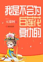 谁能凭爱意将月亮私有下句