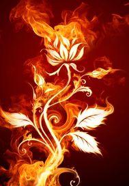 我真的什么都不会by染墨东篱