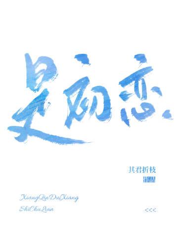 下一枪走火讲的什么