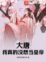 四合院从九级工程师开局